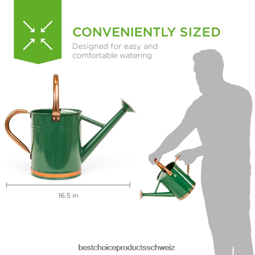 Best Choice Products 1-Gallonen-Gießkanne aus verzinktem Stahl mit O-Ring und Griff oben Grün 2JD022996