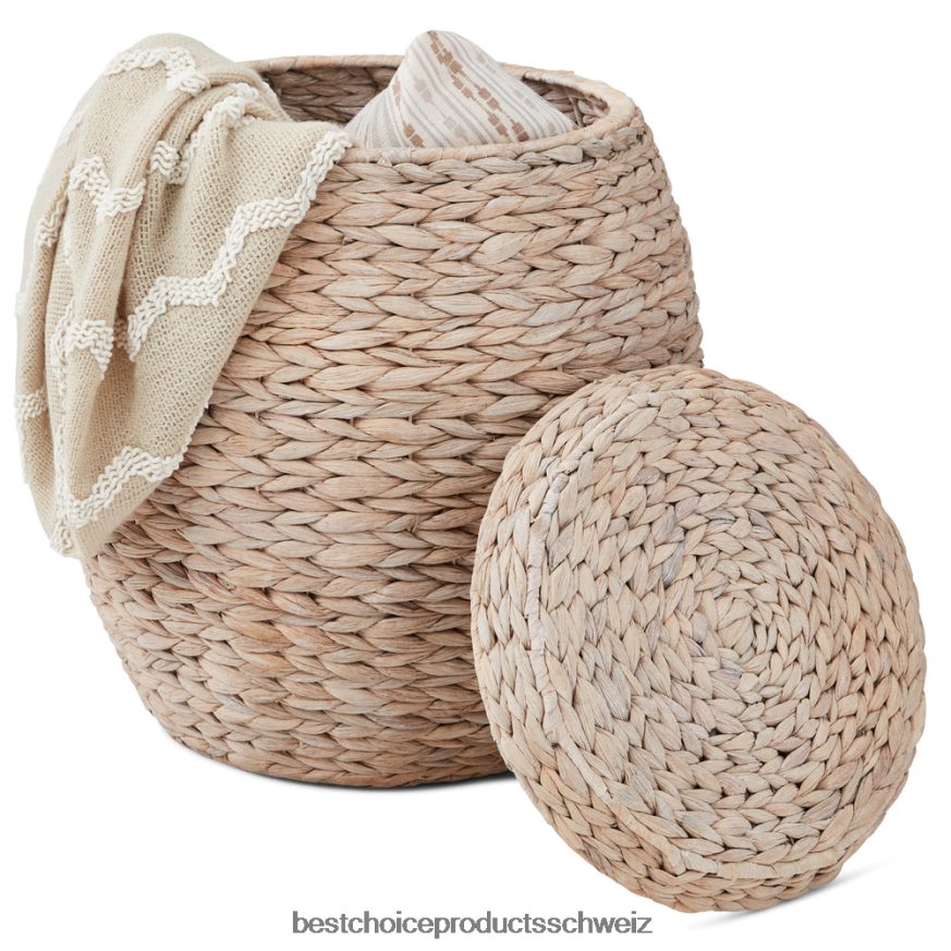 Best Choice Products Vintage Hyazinthen-Aufbewahrungskorb, Organizer mit Deckel transparent weiß 2JD022637